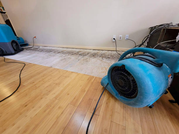 Professional Basement Flood Cleanup technician working in Union, NJ